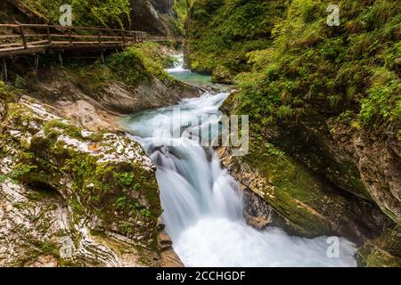 Vue panoramique sur la gorge slovène de Vintgar, avec un torrent qui coule entre les rochers et dans les rapides entourés de végétation Banque D'Images