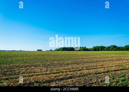 Une photographie des terres agricoles labourées après la récolte. Banque D'Images