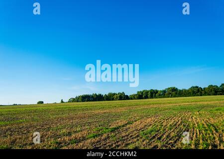 Une photographie des terres agricoles labourées après la récolte. Banque D'Images