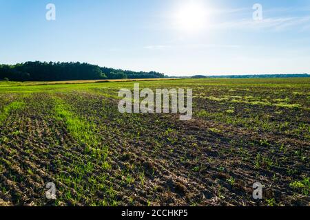 Une photographie des terres agricoles labourées après la récolte. Banque D'Images