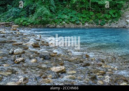 Mouvement rapides flous de la rivière Khosta avec des blocs mouillés et rivage parsemé de feuilles sèches et d'arbres verts ronds Banque D'Images