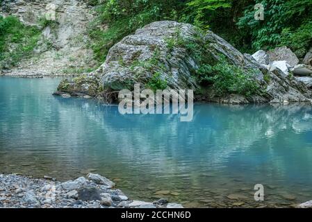 Mouvement rapides flous de la rivière Khosta avec des blocs mouillés et rivage parsemé de feuilles sèches et d'arbres verts ronds Banque D'Images