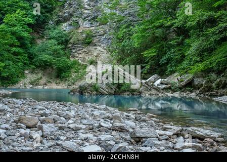 Mouvement rapides flous de la rivière Khosta avec des blocs mouillés et rivage parsemé de feuilles sèches et d'arbres verts ronds Banque D'Images