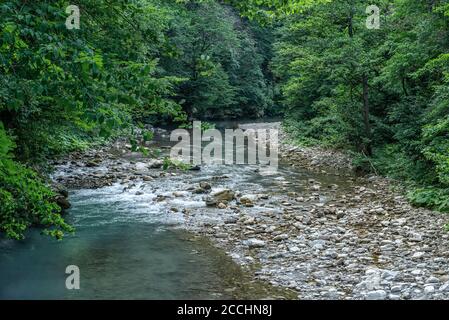 Mouvement rapides flous de la rivière Khosta avec des blocs mouillés et rivage parsemé de feuilles sèches et d'arbres verts ronds Banque D'Images