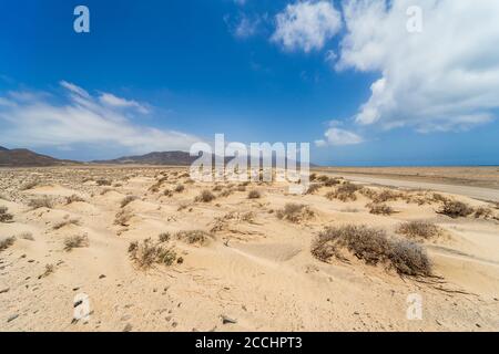 Étendues de sable désertes de la péninsule de Jandia. Fuerteventura. Îles Canaries. Espagne. Banque D'Images