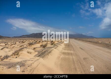 Des étendues de sable désertes de la péninsule de Jandia et une route de terre allant au loin. Fuerteventura. Îles Canaries. Espagne. Banque D'Images