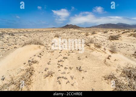 Étendues de sable désertes de la péninsule de Jandia. Fuerteventura. Îles Canaries. Espagne. Banque D'Images