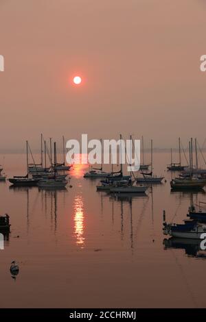 Lever du soleil sur le port, Monterey Bay, CA. Les feux de forêt ont fait tourner le ciel et l'eau rose et ont créé de belles réflexions dans l'eau. Banque D'Images