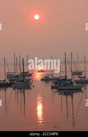 Lever du soleil sur le port, Monterey Bay, CA. Les feux de forêt ont fait tourner le ciel et l'eau rose et ont créé de belles réflexions dans l'eau. Banque D'Images