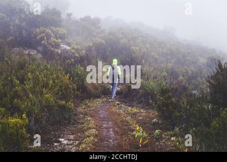 Vue de l'arrière - randonneur solitaire dans une veste de vert vif pendant le trek à pic Boby aka Imarivolanitra dans le parc national Andringitra, le matin tôt brumeux. Banque D'Images