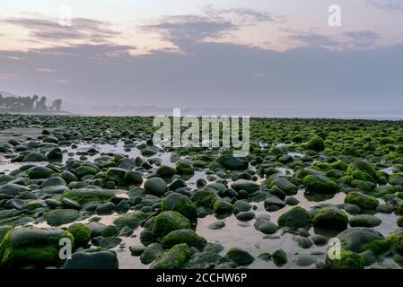 La marée basse extrême sur la côte de Ventura donne au rivage rocheux et au ciel un aspect tropical et se sentir à la fin de l'été. Banque D'Images