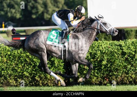 Saratoga Springs, New York, États-Unis. 22 août 2020. 22 août 2020, Saratoga Springs, NY, USA: 22 août 2020: HALLADAY #5, monté par LUIS SAEZ, remporte le FourStarDave gr1 au Saratoga Race course à Saratoga Springs, New York. Rob Simmons/CSM crédit : CAL Sport Media/Alay Live News Banque D'Images