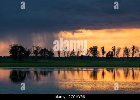 Approche des orages au-dessus des zones humides, au coucher du soleil, été, WI, Etats-Unis, par Dominique Braud/Dembinsky photo Assoc Banque D'Images