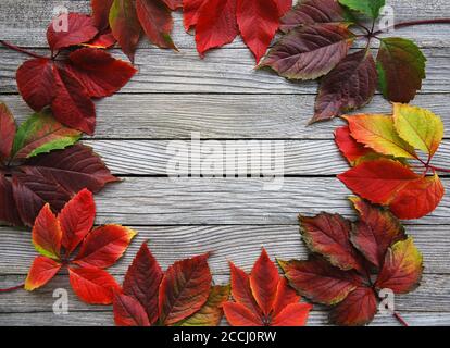 Image feuilles d'automne sur fond de bois Banque D'Images