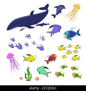 Ensemble d'animaux marins isolés sur blanc. Poissons colorés, méduses et baleines. Une collection de créatures marines pour l'aquarium océanique. Vecteur EPS10. Illustration de Vecteur
