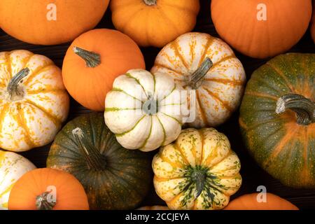 Assortiment de citrouilles récoltées en automne dans un fond de tas , Halloween concept de vacances Banque D'Images