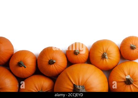 De nombreux tas de citrouilles orange sur fond blanc , Halloween concept , copier l'emplacement pour un texte Banque D'Images