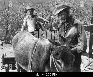 WALTER HUSTON et HUMPHREY BOGART dans LE TRÉSOR DE LA SIERRA MADRE 1948 réalisateur / scénario JOHN HUSTON roman B. Traven Warner Bros. Banque D'Images