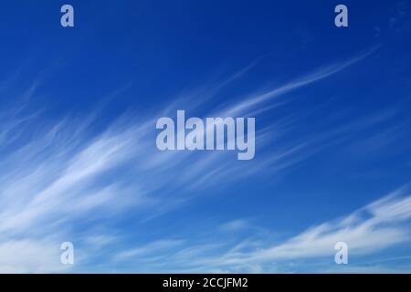 Les cirrus against a blue sky Banque D'Images