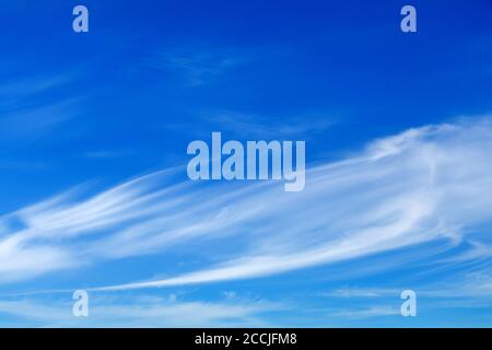 Les cirrus against a blue sky Banque D'Images