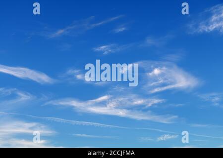 Les cirrus against a blue sky Banque D'Images