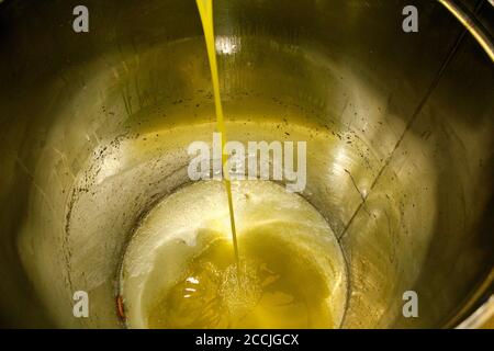 Extraction de l'huile d'olive vierge extra en processus de moulin à huile d'olive en Grèce. Banque D'Images