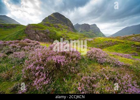 Vue de Beinn Fhada, une partie de Bidean Nam bian également connue sous le nom de Three Sisters of Glencoe, région des Highlands, Écosse, Royaume-Uni Banque D'Images