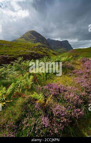 Vue de Beinn Fhada, une partie de Bidean Nam bian également connue sous le nom de Three Sisters of Glencoe, région des Highlands, Écosse, Royaume-Uni Banque D'Images