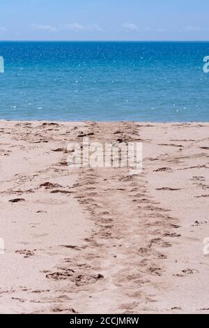 Pistes de tortues menant à la mer, parc national de Garig Gunak Barlu dans la péninsule de Cobourg, Arnhem Land, territoire du Nord, territoire du Nord, Australie Banque D'Images