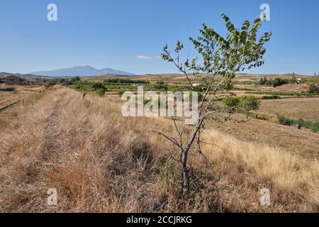 Paysage de Valverde del Rio Alhama et de la montagne El Moncayo en arrière-plan dans la province de la Rioja, Espagne Banque D'Images