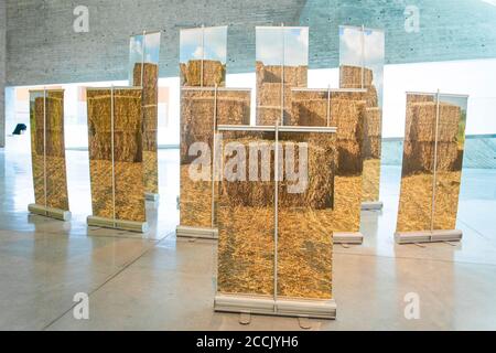TEL AVIV, ISRAËL - 15 DÉCEMBRE 2018 : peintures, au Musée d'Art, tel Aviv, Israël Banque D'Images
