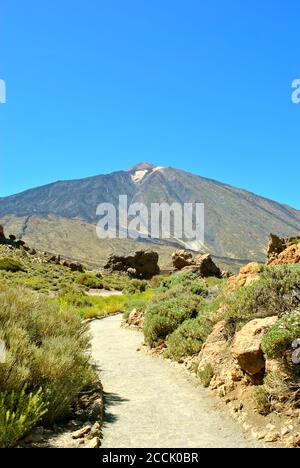 Parc National de Teide à Ténérife Banque D'Images