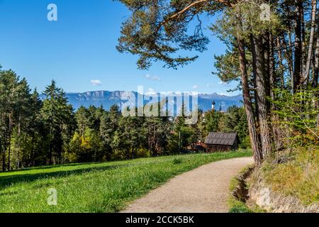 Italie, Ritten, cabane en rondins dans un champ herbacé et une route de terre Banque D'Images