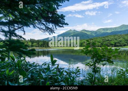 Vue sur les montagnes et les lacs du parc national des cinq lacs de Shiretoko 知床五湖 à Hokkaido, Japon. Photo prise en été. Banque D'Images