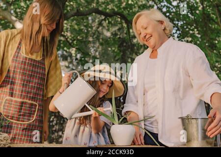 Mère et grand-mère regardant la fille arrosage plante en pot sur table dans la cour Banque D'Images