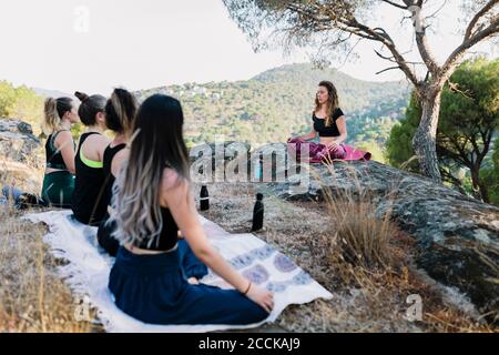 Femmes pratiquant le yoga en forêt Banque D'Images