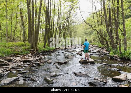 Homme senior debout sur le rocher au milieu de la rivière Rur qui coule à travers High Fens - Parc naturel d'Eifel au printemps Banque D'Images