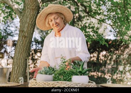 Femme âgée portant un chapeau avec des plantes en pot sur une table dans la cour Banque D'Images