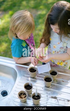 Les filles plantent des graines dans de petits pots sur la table au jardin Banque D'Images