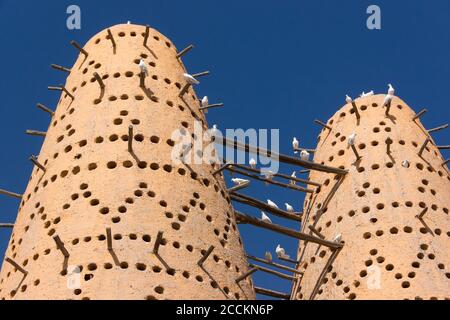 Pigeons blancs assis sur les poteaux des tours d'oiseaux à Doha, au Qatar Banque D'Images