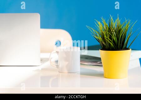 Bureau avec ordinateur portable, tasse blanche et pot de plantes jaune Banque D'Images