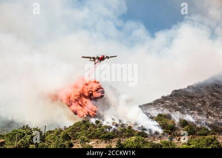 Avion de lutte contre le feu aérienne chute de charge ignifuge sur feu de forêt, Corse, France Banque D'Images