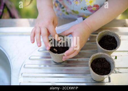 Les mains de fille plantant des graines dans de petits pots sur la table à jardin Banque D'Images