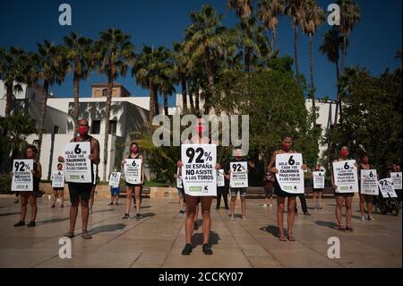 Malaga, Espagne. 23 août 2020. Les activistes portant un masque facial tiennent des pancartes lorsqu'ils prennent part à une manifestation contre la corrida à Malaga.les militants en faveur des droits des animaux organisés par AnimaNaturalis et cas International (Comité anti Stierenvechten) ont protesté pour exiger la fin de la corrida en Espagne. Crédit : SOPA Images Limited/Alamy Live News Banque D'Images