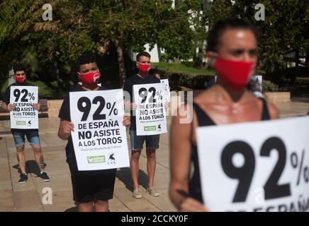 Malaga, Espagne. 23 août 2020. Les activistes portant un masque facial tiennent des pancartes lorsqu'ils prennent part à une manifestation contre la corrida à Malaga.les militants en faveur des droits des animaux organisés par AnimaNaturalis et cas International (Comité anti Stierenvechten) ont protesté pour exiger la fin de la corrida en Espagne. Crédit : SOPA Images Limited/Alamy Live News Banque D'Images