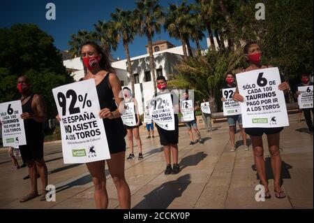 Malaga, Espagne. 23 août 2020. Les activistes portant un masque facial tiennent des pancartes lorsqu'ils prennent part à une manifestation contre la corrida à Malaga.les militants en faveur des droits des animaux organisés par AnimaNaturalis et cas International (Comité anti Stierenvechten) ont protesté pour exiger la fin de la corrida en Espagne. Crédit : SOPA Images Limited/Alamy Live News Banque D'Images