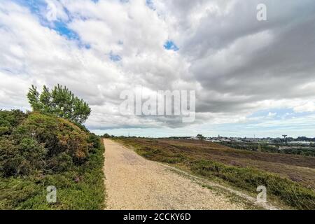 Poole, Royaume-Uni. 23 août 2020. Poole, Royaume-Uni. Dimanche 23 août 2020. Les vents forts conduisent à des conditions météorologiques changeantes au Royaume-Uni au-dessus de Canford Heath à Dorset. Credit: Thomas Faull/Alamy Live News Banque D'Images