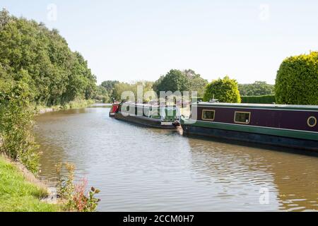 Des bateaux étroits amarrés sur le canal de Macclesfield plus haut Poynton Cheshire Angleterre Banque D'Images