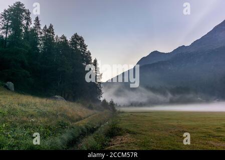 Le brouillard et la brume qui s'élève des plaines autour du lac de Silvaplana dans la vallée d'Engadin au lever du soleil Banque D'Images