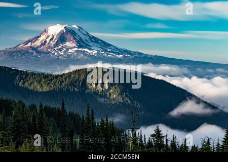 Mont Adams et nuages du matin vus depuis la piste de Snowgrass dans la nature sauvage de Goat Rocks, forêt nationale de Gifford Pinchot, État de Washington, États-Unis Banque D'Images